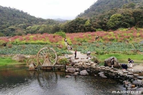广州最适合中老年人的十大景点旅游广州中老年人景点推荐