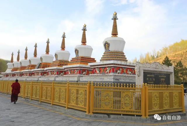 青海游记:西宁塔尔寺,格鲁派六大寺庙之一。