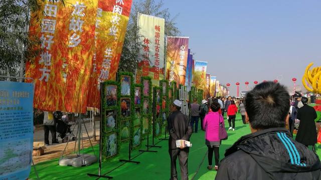 红谷:重阳登高采菊庆丰收。黄花宜伴茶,清月易攀。